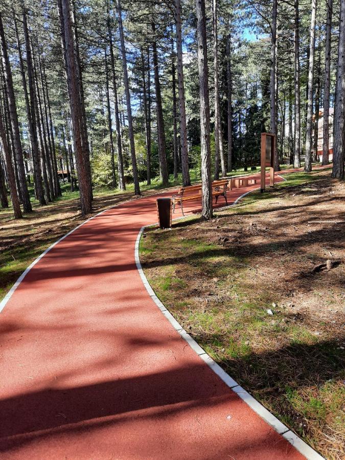 Zlatibor M Daire Dış mekan fotoğraf